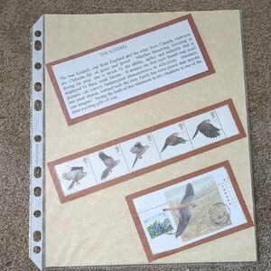 Kestrel Bird Stamp Collection Sheet